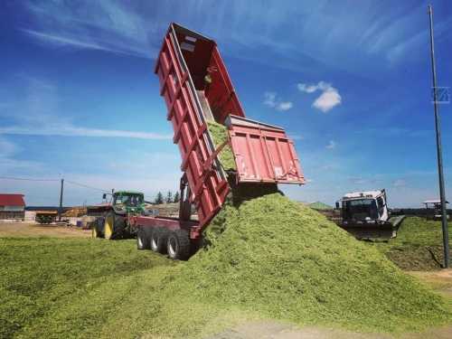 ms-transport-ensilage.jpeg